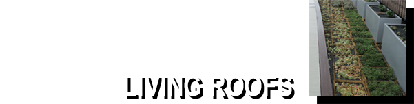 Living roofs